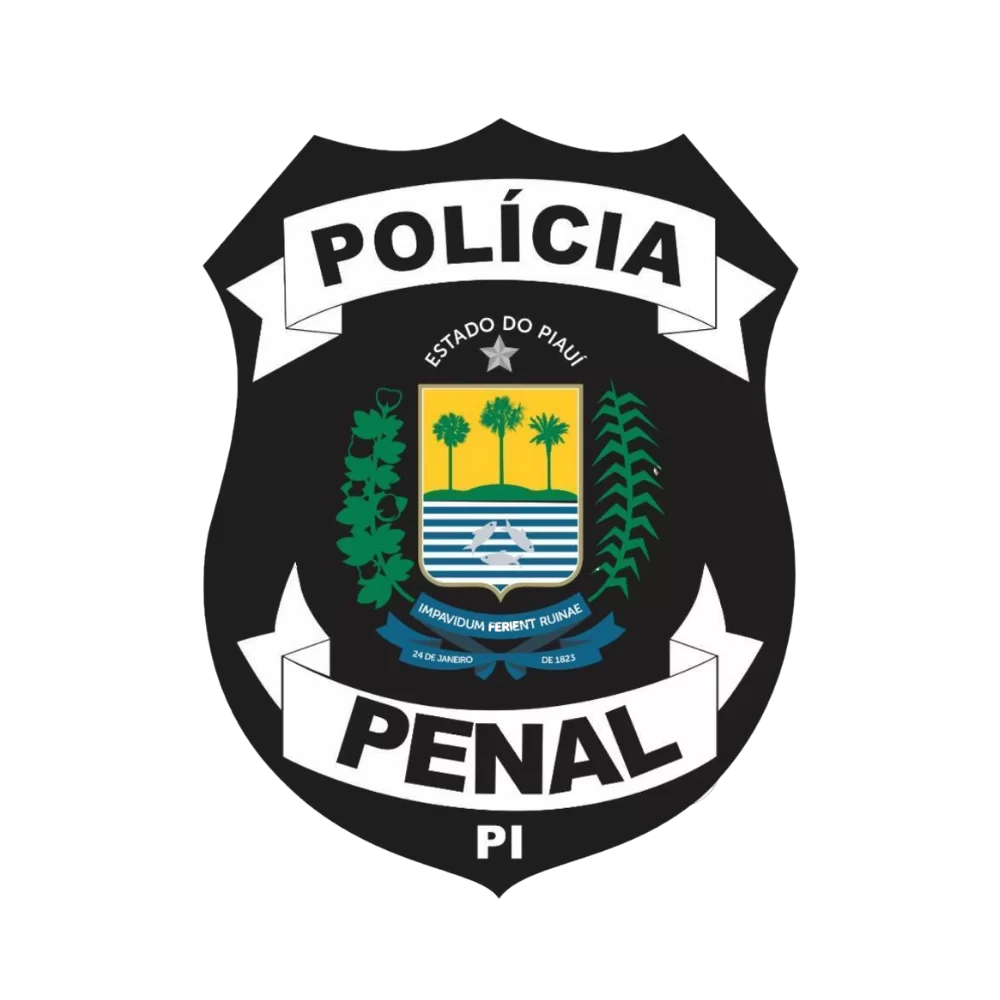 Polícia Penal - Piauí (T2)